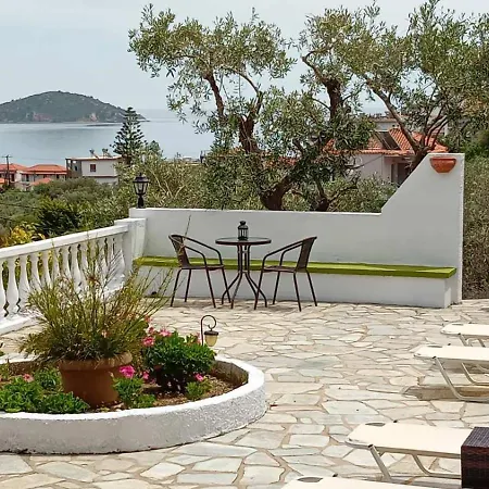 Olive Grove View