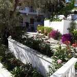 Olive Grove View