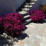 Apartment Olive Grove View