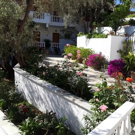 Olive Grove View