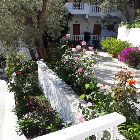 Apartment Olive Grove View