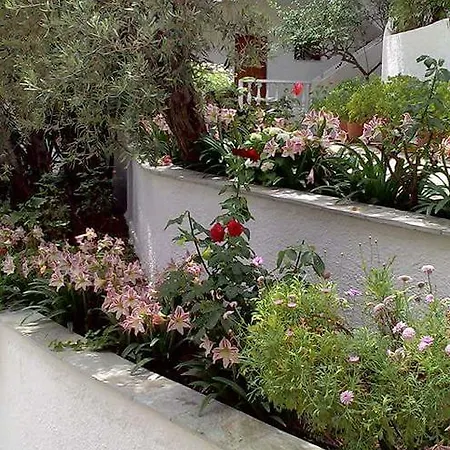 Olive Grove View Apartment Skiathos-Stadt