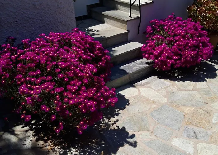 Lägenhet Olive Grove View