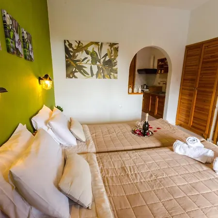 Olive Grove View Skiathos by