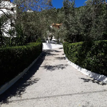 Olive Grove View Apartamento