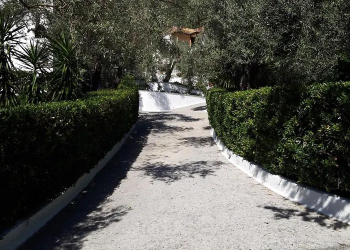 Olive Grove View Apartment