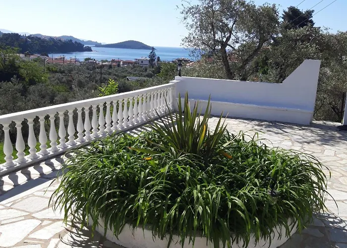 Olive Grove View Apartment